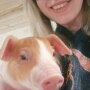 In trying times, America’s hog farmers #FarmOn. 