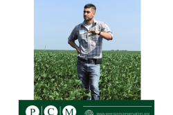 Frank-pcm800x640_0.png