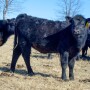 MaternalScore_DSC_1604.jpg