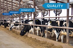 MILK-Core-Values-840.jpg