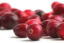cranberries_000004718552large.jpg