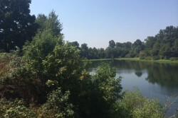 Water_Way_Oregon