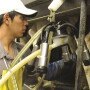 dairy worker 