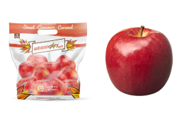 Autumn Glory_Cosmic Crisp.png