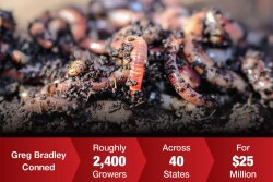 Worms