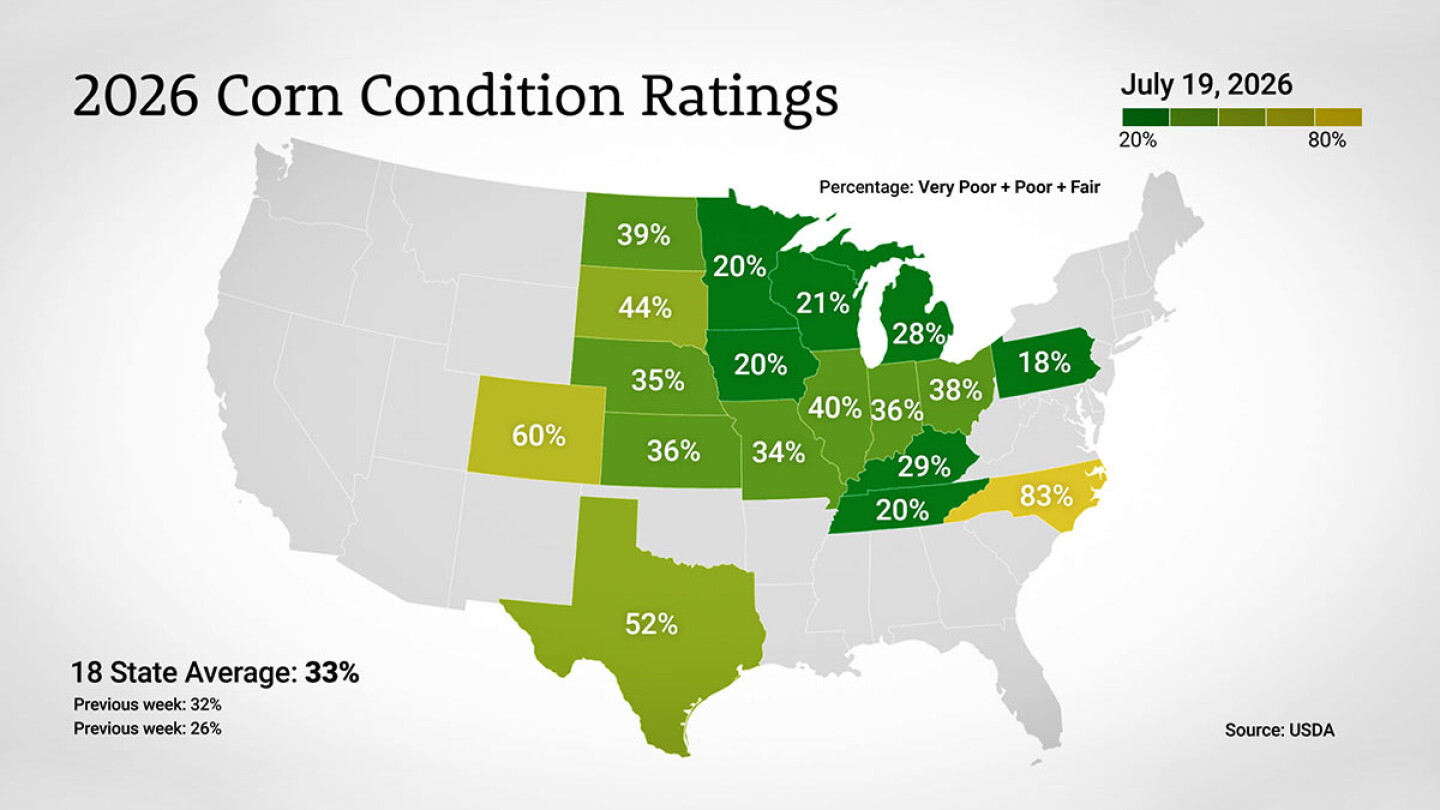 Corn Conditions Post Biggest Weekly Drop for Late July in Nearly Two Decades as Heat Bakes the Corn Belt