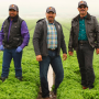Gonzales, Calif.-based Misionero Vegetables relaunches a salad brand of spring mixes.