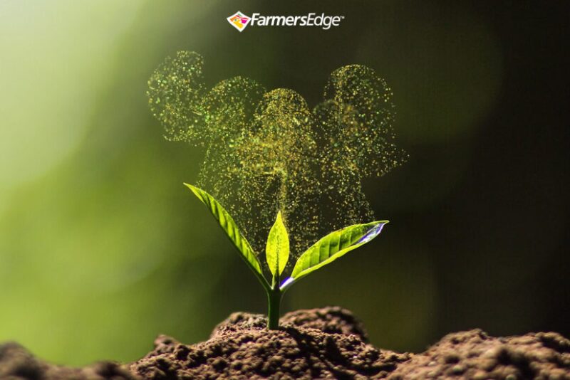 Vibhore Arora comes to Farmers Edge from Amazon Canada Fulfillment Services where he was president and involved in the past eight years in building that company’s fulfillment in Canada. 