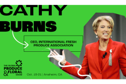 cathy burns soi