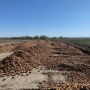 Toward the end of the Idaho-eastern Oregon storage season, tons of onions had to be composted in mid-April because of lost foodservice demand related to the COVID-19 crisis.
