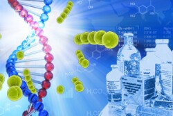 Data from NARMS are used by FDA in the regulatory review of new animal antimicrobial drugs, and to develop policies on judicious antimicrobial use in animals.