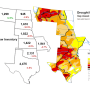 Beef cow inventories in drought.