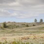 Range