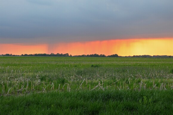LindseyBenne-RainInTheDistance.jpg