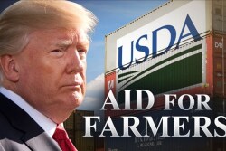 Up to $7.25 billion is available this fall from the $14.5 billion earmarked for aid. 
