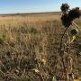 Farm Journal