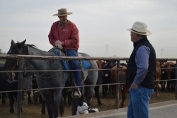 The veterinarian can, with good teaching and leadership skills, help client operations maintain a stable and productive workforce. 