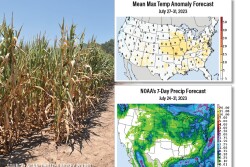 Extreme Heat July 2023