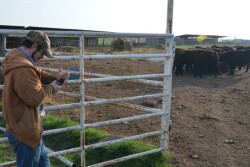 BT_Young_Producer_Smart_Phone_Cattle