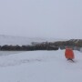 bale windbreak