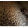 The organization has moved thousands of potatoes from the farm to people who need them.
