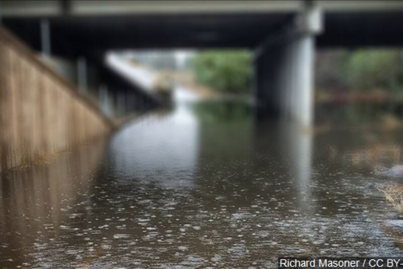 Heavy rains have brought flooding to the lower Mississippi River.