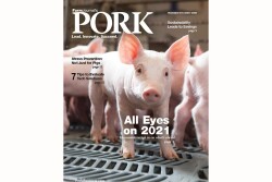 PORK Cover