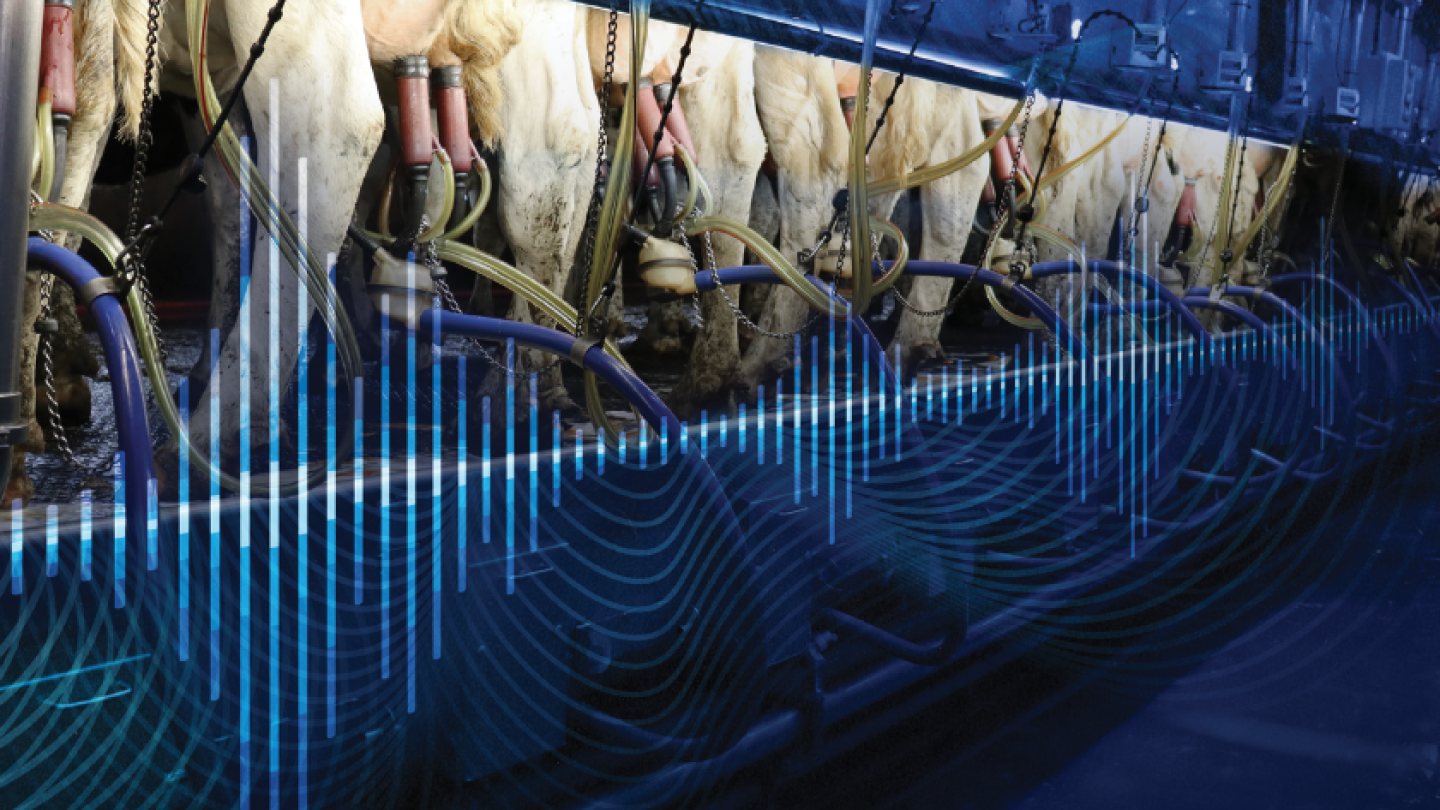 The Genetics of Healthy Cows