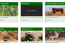 On the new page, users can search by type, keyword, or by the specific pest or disease.
