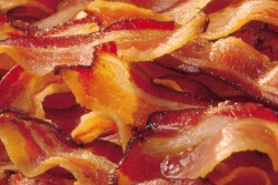 Bacon