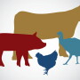 Livestock 
