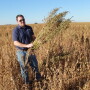 Frenchman Valley Coop's Ben Sauder, VP of Agronomy is shown above standing in a soybean field infested with Palmer amaranth. “We’re going to have to really work hard in the next several years to get these weeds back under control because we’ve lost 20 years of weed control in just this one past year,” he says.