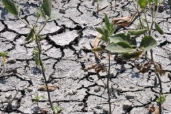 Drought