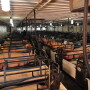 Sow Housing