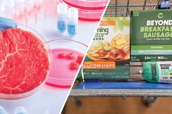 Lab Grown Meat and Plant Meat Alternative