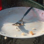 empty-plate-1245479.jpg