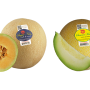 Dulcinea Farms will distribute Sugar Kiss (left) and Summer Kiss melons.