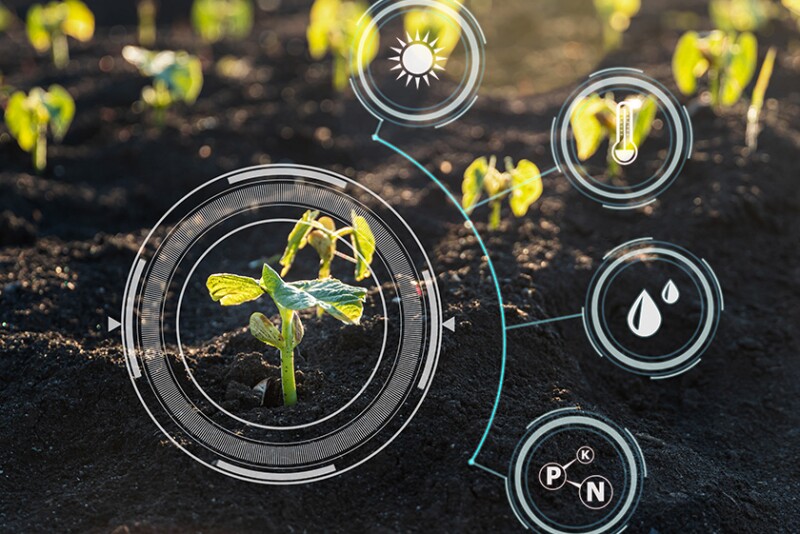 Photo of young plants in field with technology symbols overlayed
