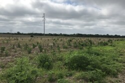 Prevent plant acres