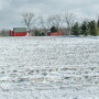 winter field barn