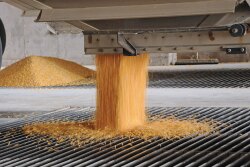 Unloading corn in Missouri.