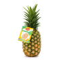 del monte