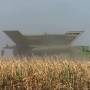 Spurlock_Farms