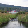 Rafter T Ranch