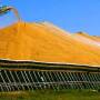 Grain-Pile.jpg