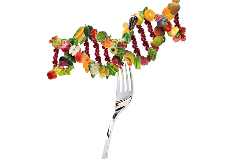 fork and produce dna