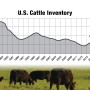 Cattle inventory