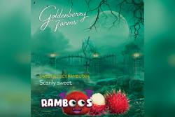 Goldenberry Farms Halloween-themed “Scarily Sweet” merchandise graphic
