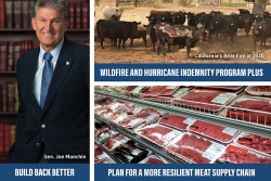 COVID-19-related legislation continues to run the House gavel, while rural America urges Congress to deliver on its economic relief promises. Here are three issues to watch.