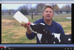 Virtual_Dairy_Farm_Tour